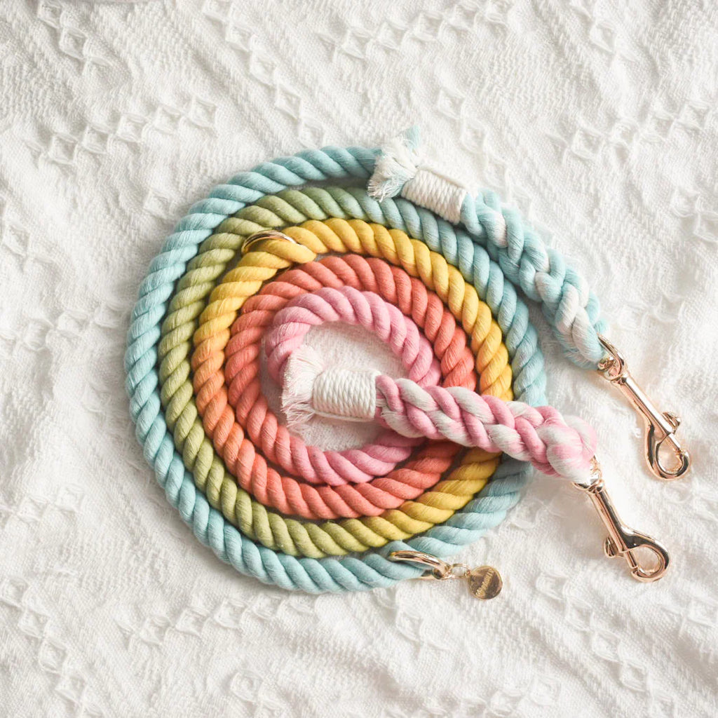 ROPE LEASH - SWEET LOLLIE
