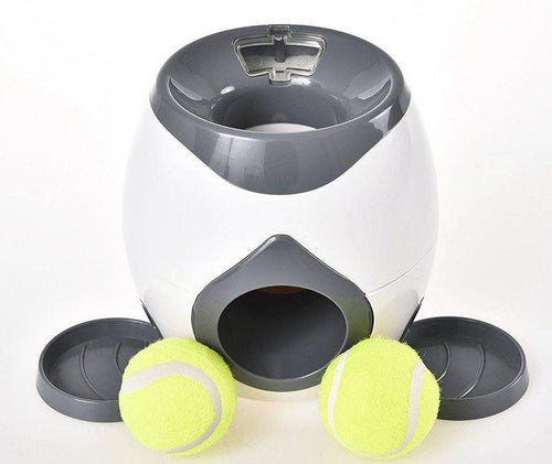 Automatic Pet Training And Feeding System